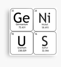 GeNiUS Metal Print