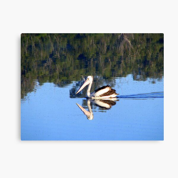 Coloured Water 6 Canvas Print
