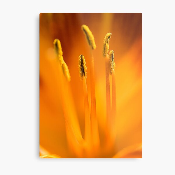 The guild Metal Print