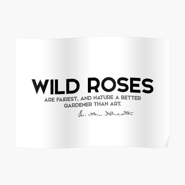 wild roses - louisa may alcott Poster