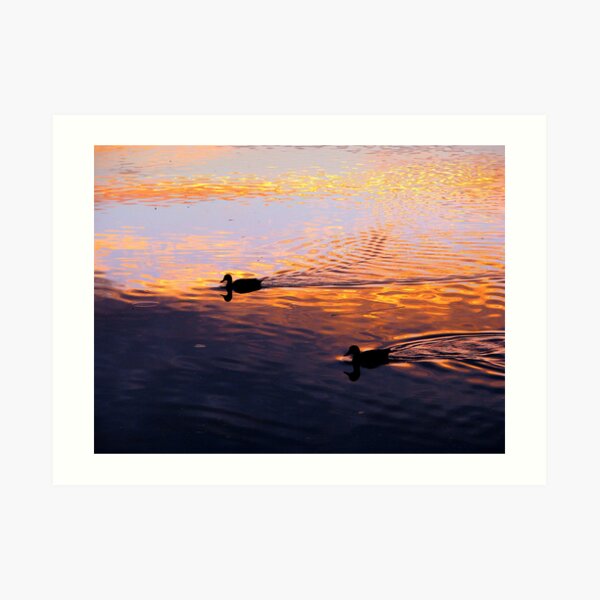 Coloured Water 5 Art Print
