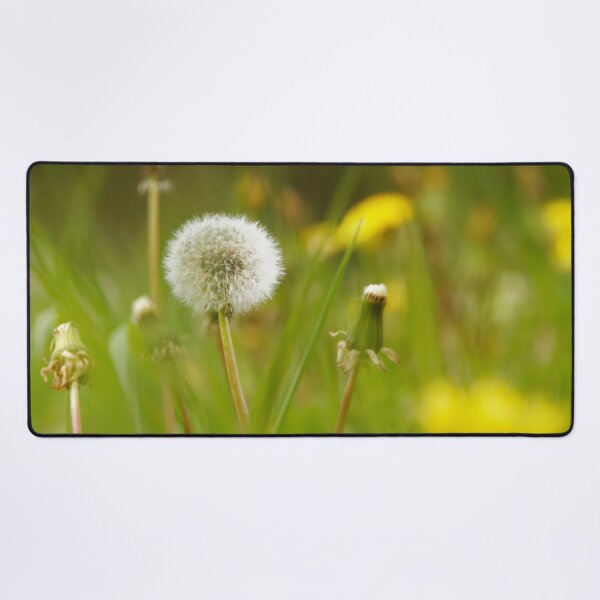 Item preview, Dandelion Patch designed and sold by Natural-Habitat.