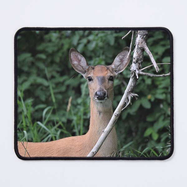Item preview, Alert Doe In The Woods designed and sold by NicoleFrederick.