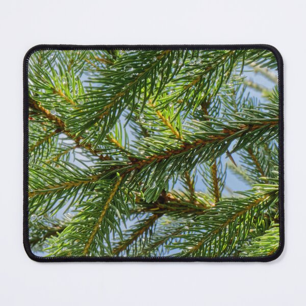 Item preview, Pine Needles designed and sold by Natural-Habitat.