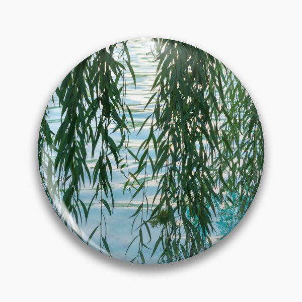 Item preview, Living Curtains - Weeping Willow Branches Creating Green Drapes designed and sold by Georgia Mizuleva.