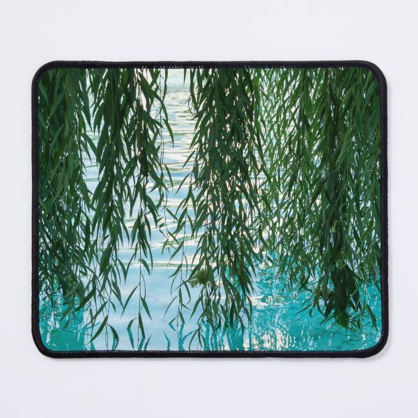 Item preview, Living Curtains - Weeping Willow Branches Creating Green Drapes designed and sold by Georgia Mizuleva.