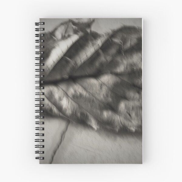 Item preview.