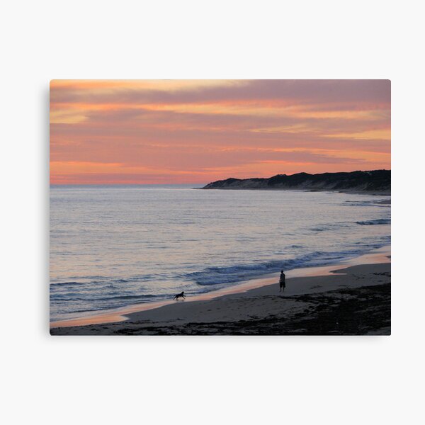 Man and his Dog Canvas Print