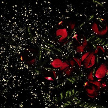 Artwork thumbnail, Rose Galaxy Dark Floral by LindasPhotoArt