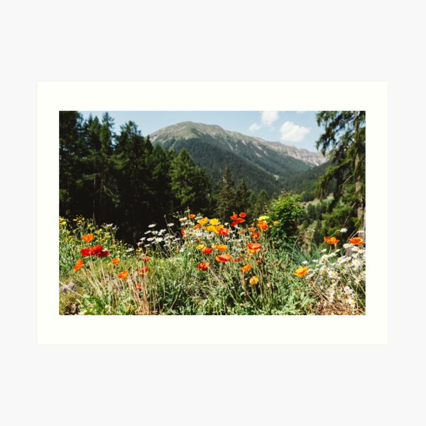 Mountain garden Art Print