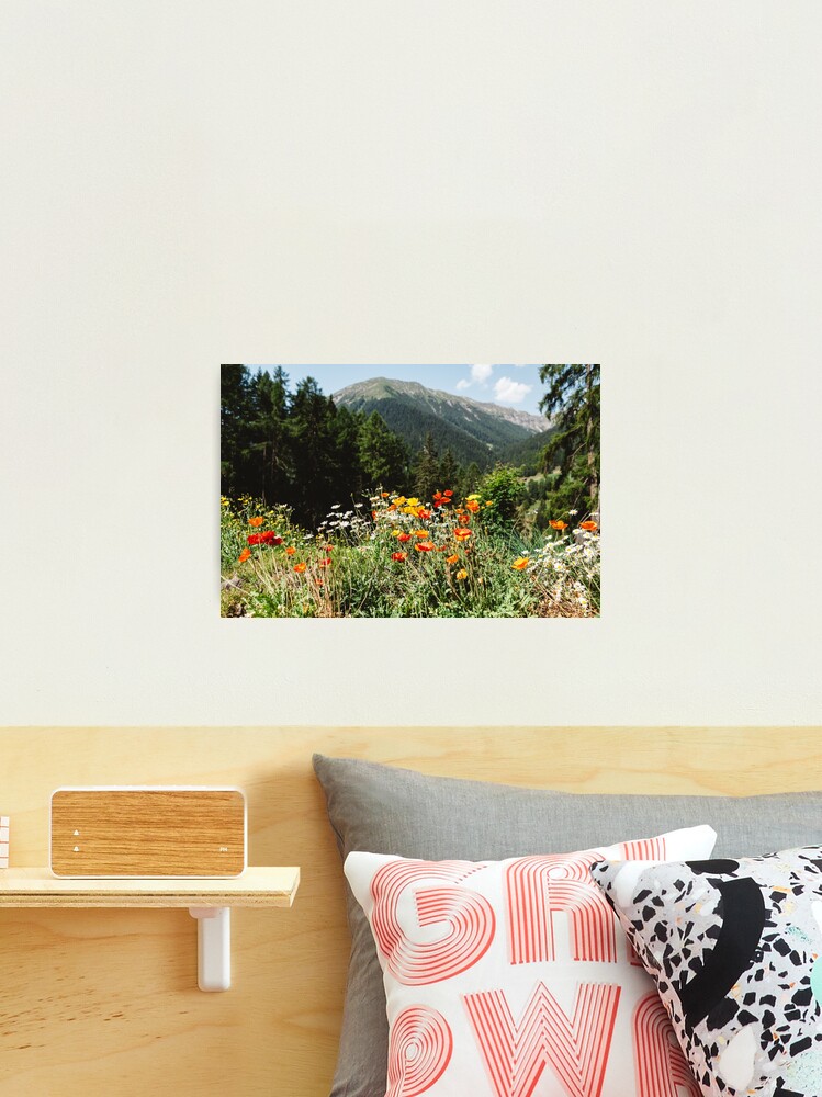 Thumbnail 2 of 3, Photographic Print, Mountain garden designed and sold by Hudolin.