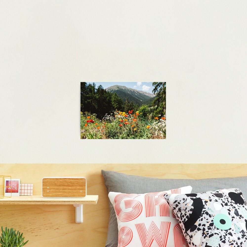 Mountain garden Photographic Print