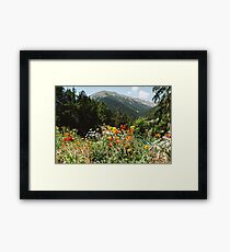Mountain garden Framed Print