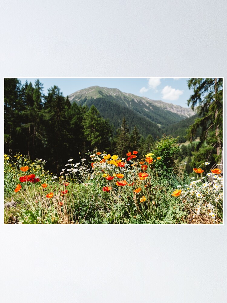 Alternate view of Mountain garden Poster