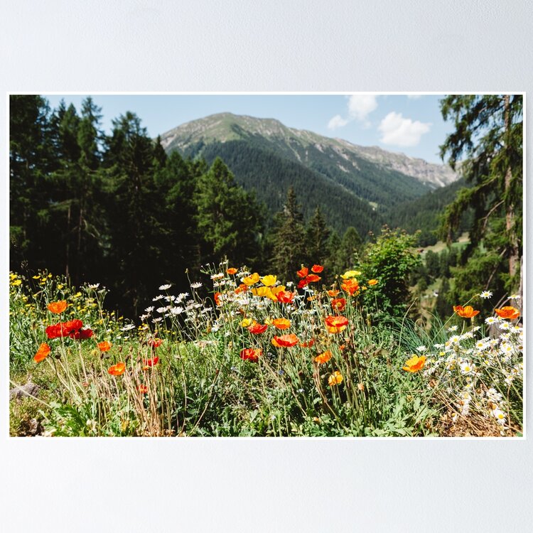 Mountain garden Sticker