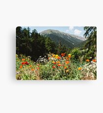 Lienzo Jardín de montaña