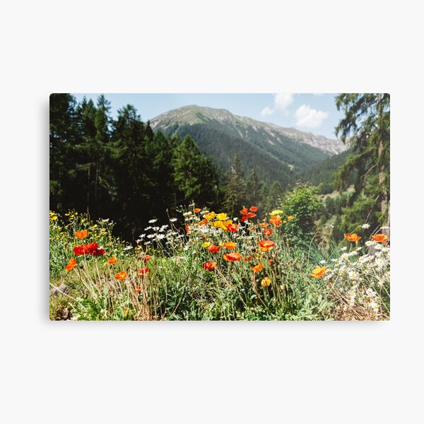 Mountain garden Metal Print
