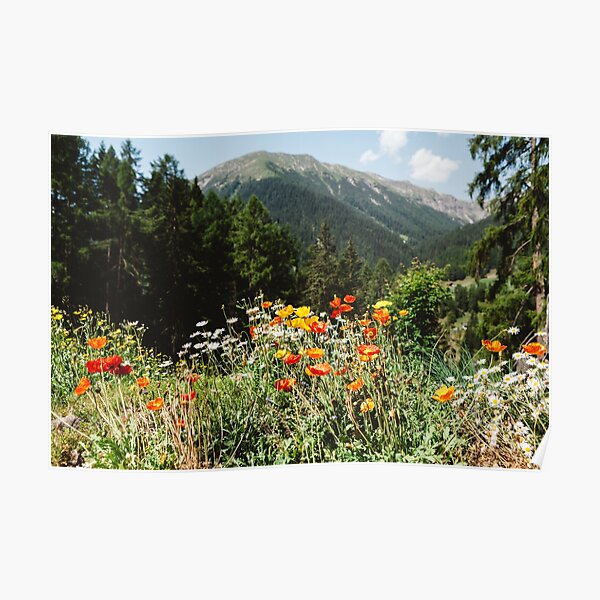 Mountain garden Poster