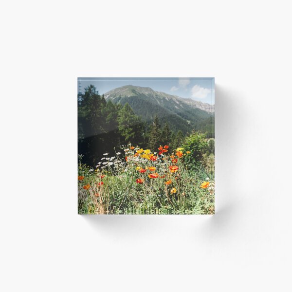 Mountain garden Acrylic Block