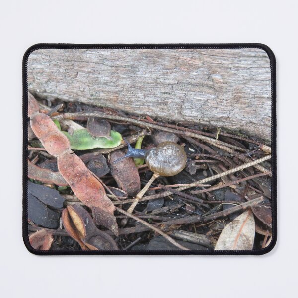 Item preview, Oxychilus draparnaudi designed and sold by greentiger1.