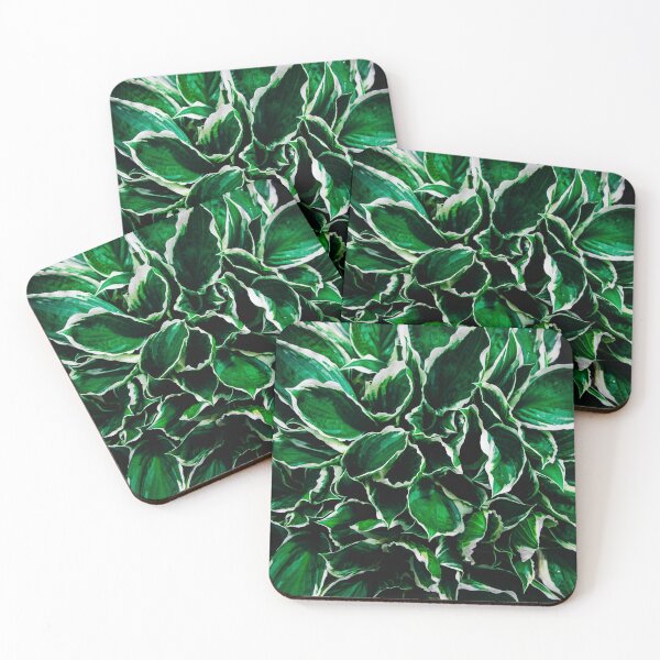 Item preview, Hosta undulata albomarginata vibrant green plant leaves designed and sold by PLdesign.