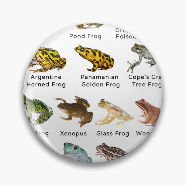 Item preview, Animal Types Of Frogs designed and sold by ElizebethRodri.