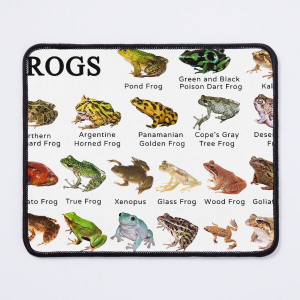 Item preview, Animal Types Of Frogs designed and sold by ElizebethRodri.