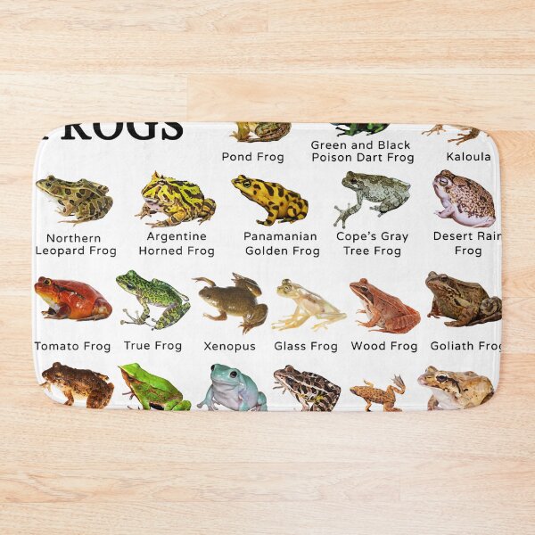 Item preview, Animal Types Of Frogs designed and sold by ElizebethRodri.