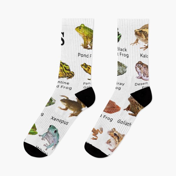 Item preview, Animal Types Of Frogs designed and sold by ElizebethRodri.