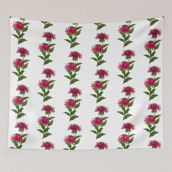 Item preview, Bee Balm (Monarda) designed and sold by PAPERPLAN.