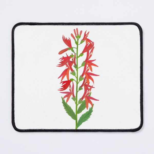 Item preview, Cardinal flower (Lobelia cardinalis) designed and sold by PAPERPLAN.