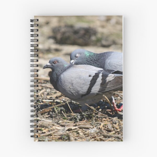 Item preview, Where do you think you're going designed and sold by GreyFeatherPhot.