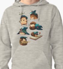 Magic hedgehogs Pullover Hoodie