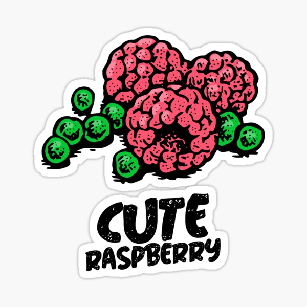 Raspberry Pi logo stickers (Small - set of 10 )