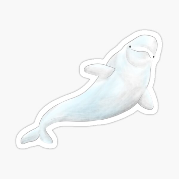Small Beluga Sticker