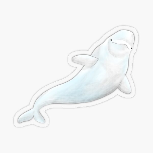 Item preview, Small Beluga designed and sold by MediocreCreator.