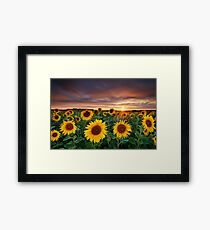 Here comes the Summer Framed Print