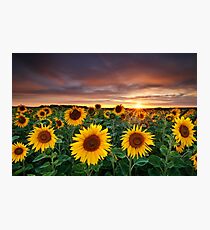 Here comes the Summer Photographic Print