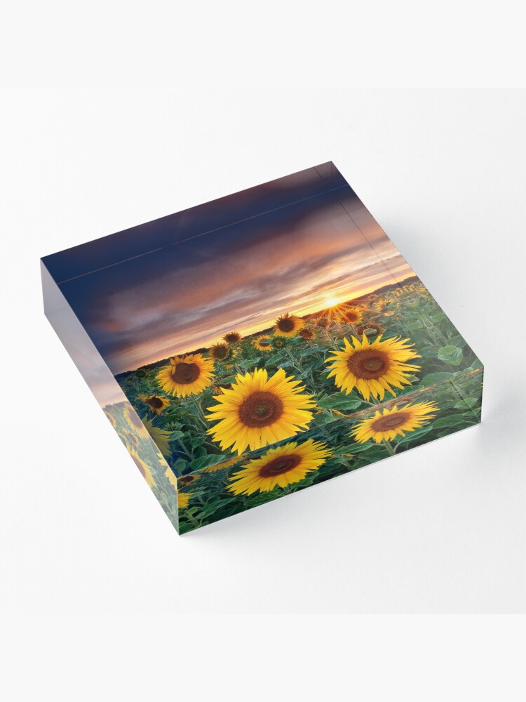 Alternate view of Here comes the Summer Acrylic Block