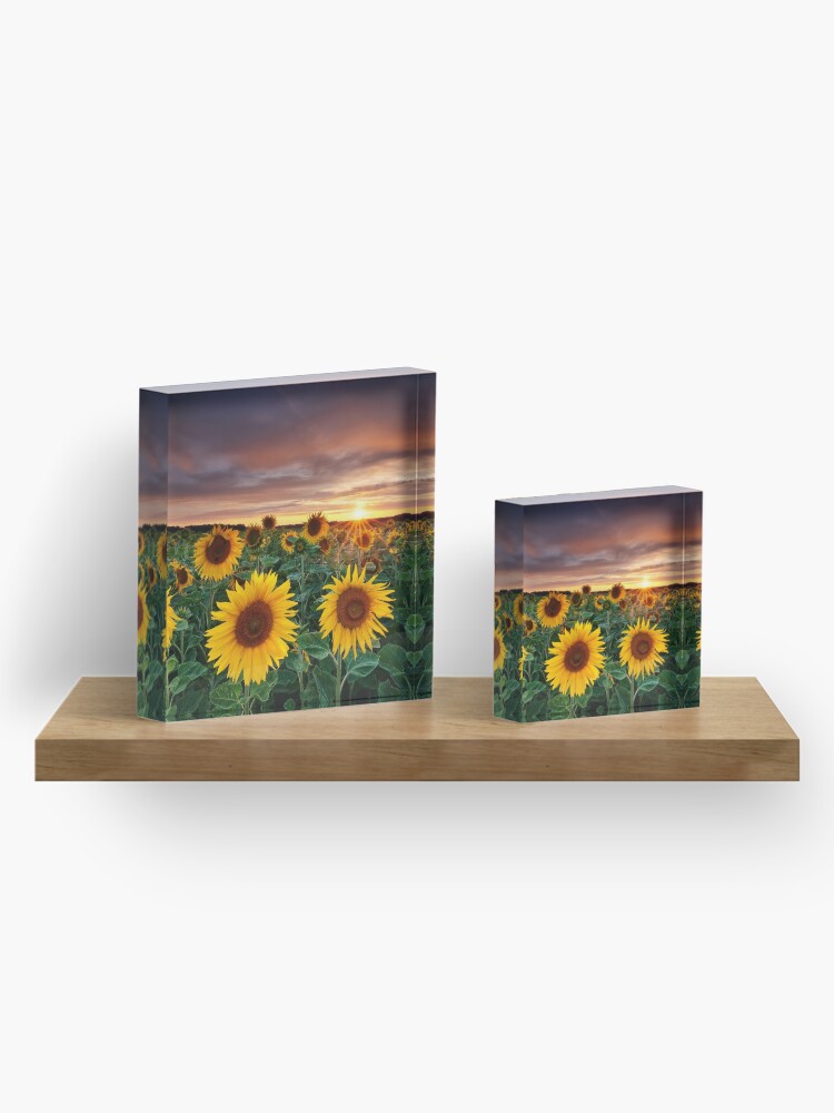Alternate view of Here comes the Summer Acrylic Block