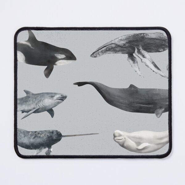 Item preview, whale, whales designed and sold by DerSenat.