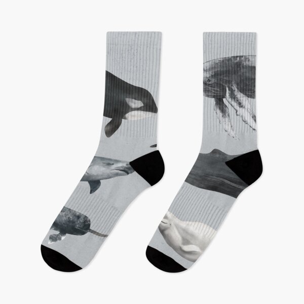 Item preview, whale, whales designed and sold by DerSenat.