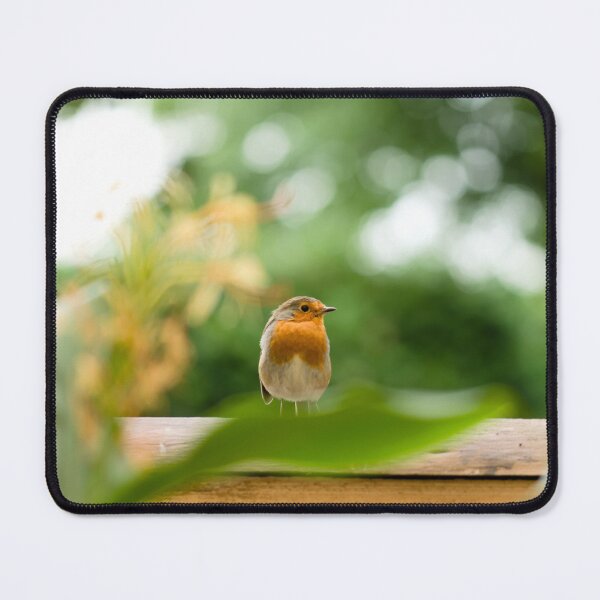 Item preview, Perched Robin designed and sold by Kafue.