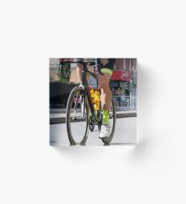Bike Legs Acrylic Block