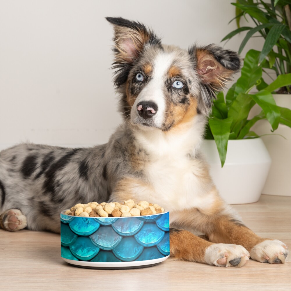 Item preview, Pet Bowl designed and sold by UtArt.