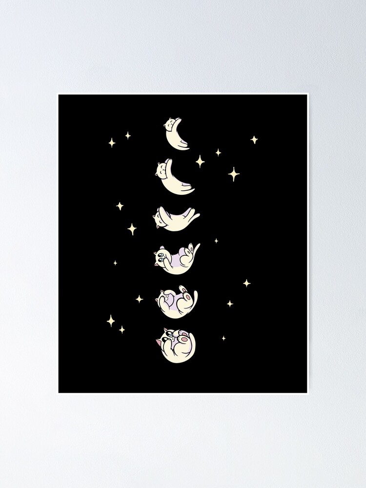 Boho Mystical Feathers Cat Moon Phases Cats Lovers Gift T-Shirt Boho Mystical Feathers Cat Moon Phases Cats Lovers Gift T-Shirt