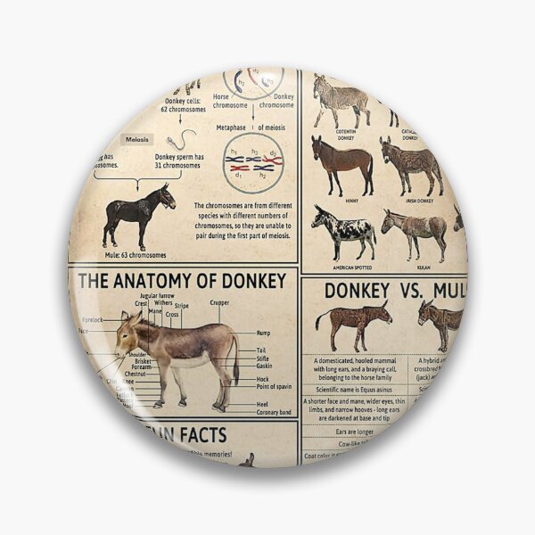 Item preview, My Donkeys Told Me Im Fine vintage designed and sold by HildegardBusch.