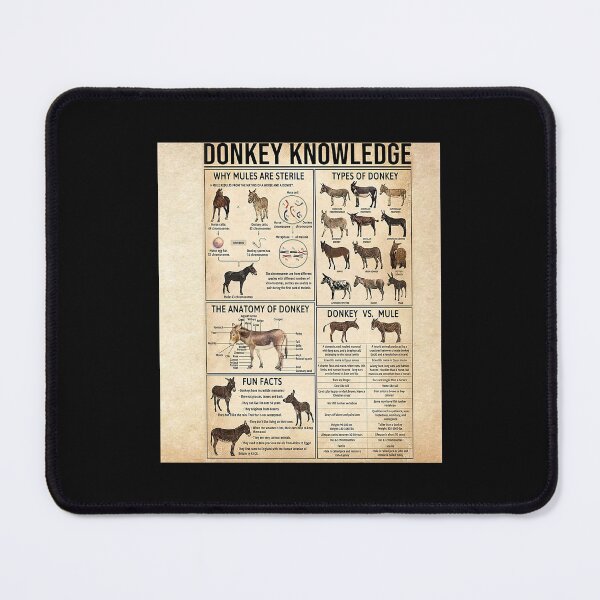 Item preview, My Donkeys Told Me Im Fine vintage designed and sold by HildegardBusch.