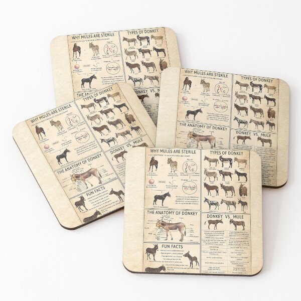 Item preview, My Donkeys Told Me Im Fine vintage designed and sold by HildegardBusch.