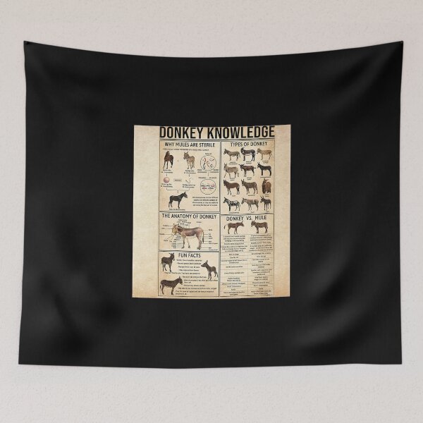 Item preview, My Donkeys Told Me Im Fine vintage designed and sold by HildegardBusch.